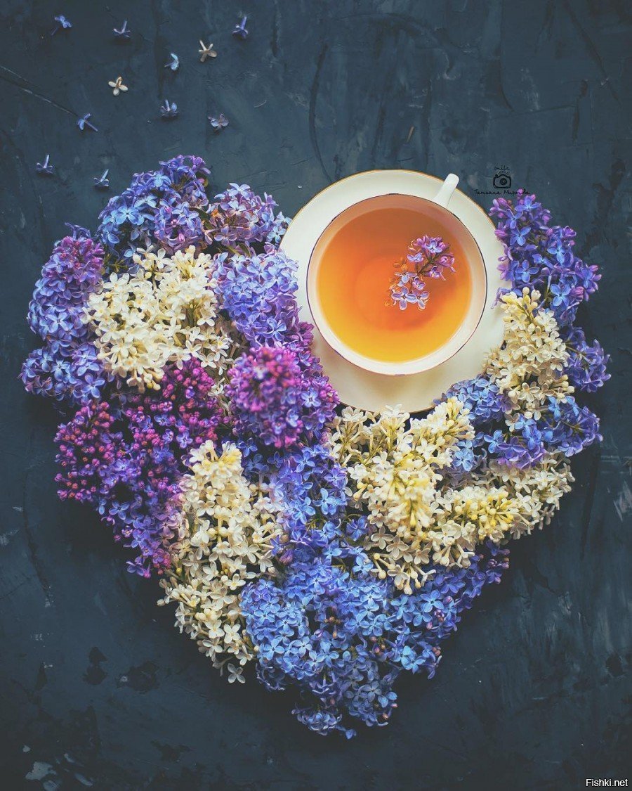 Утро в голубых тонах