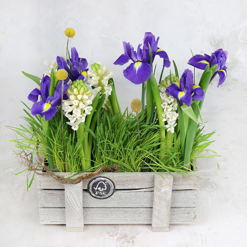 Букеты Марианны Локшиной