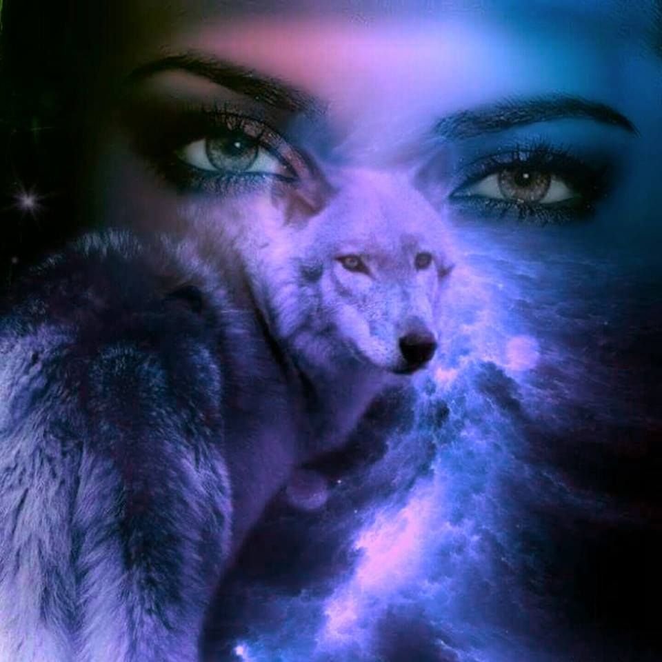 Волчица одиночка