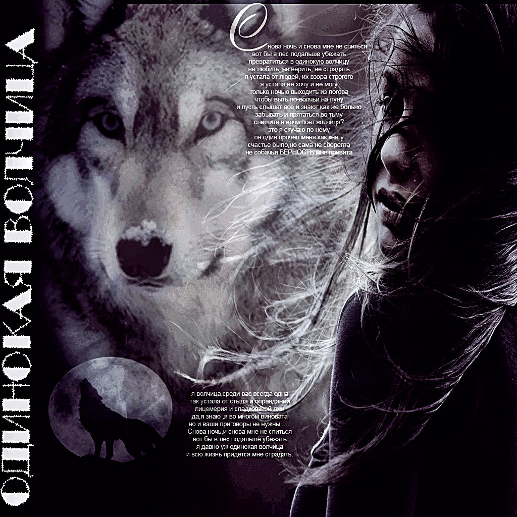 Одинокая волчица