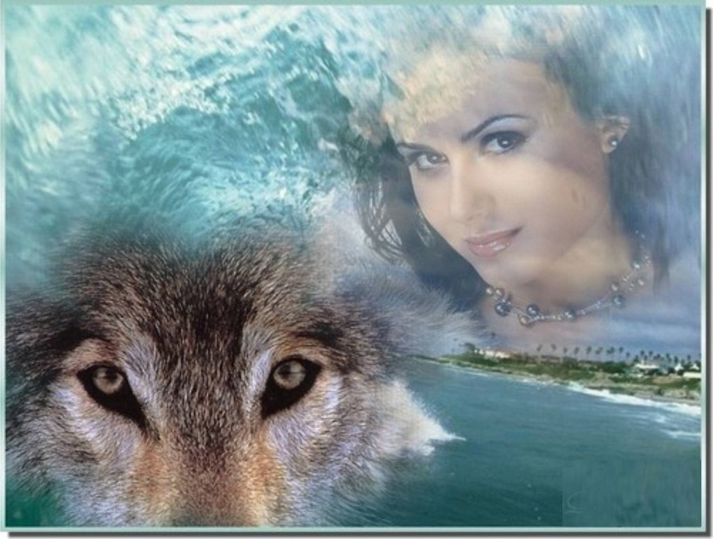 Волк со слезами на глазах