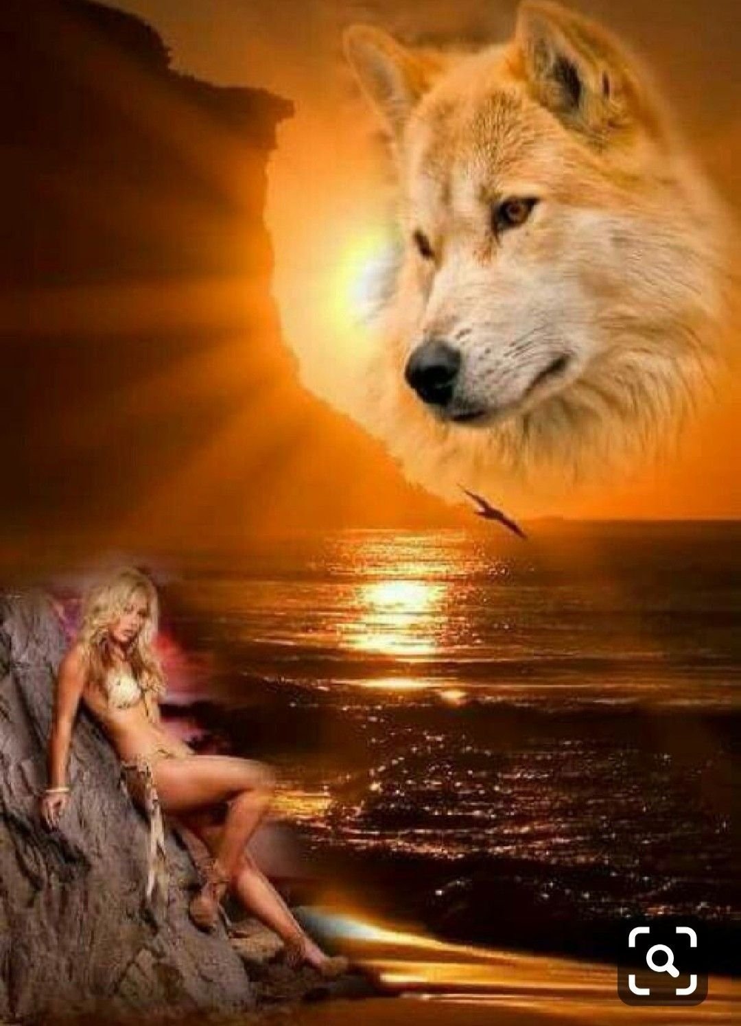 Одинокая волчица картинки