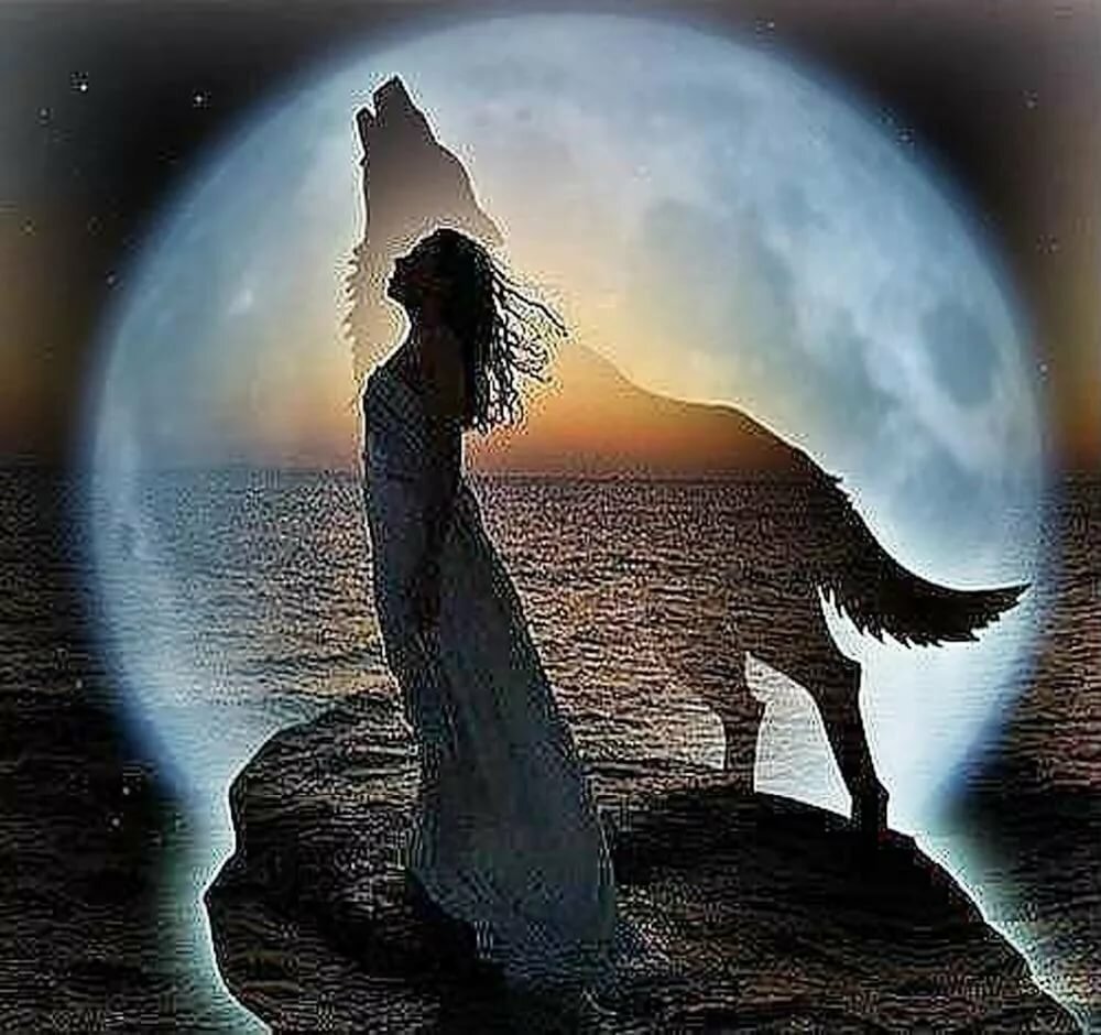 Одинокая волчица Шуфутинский