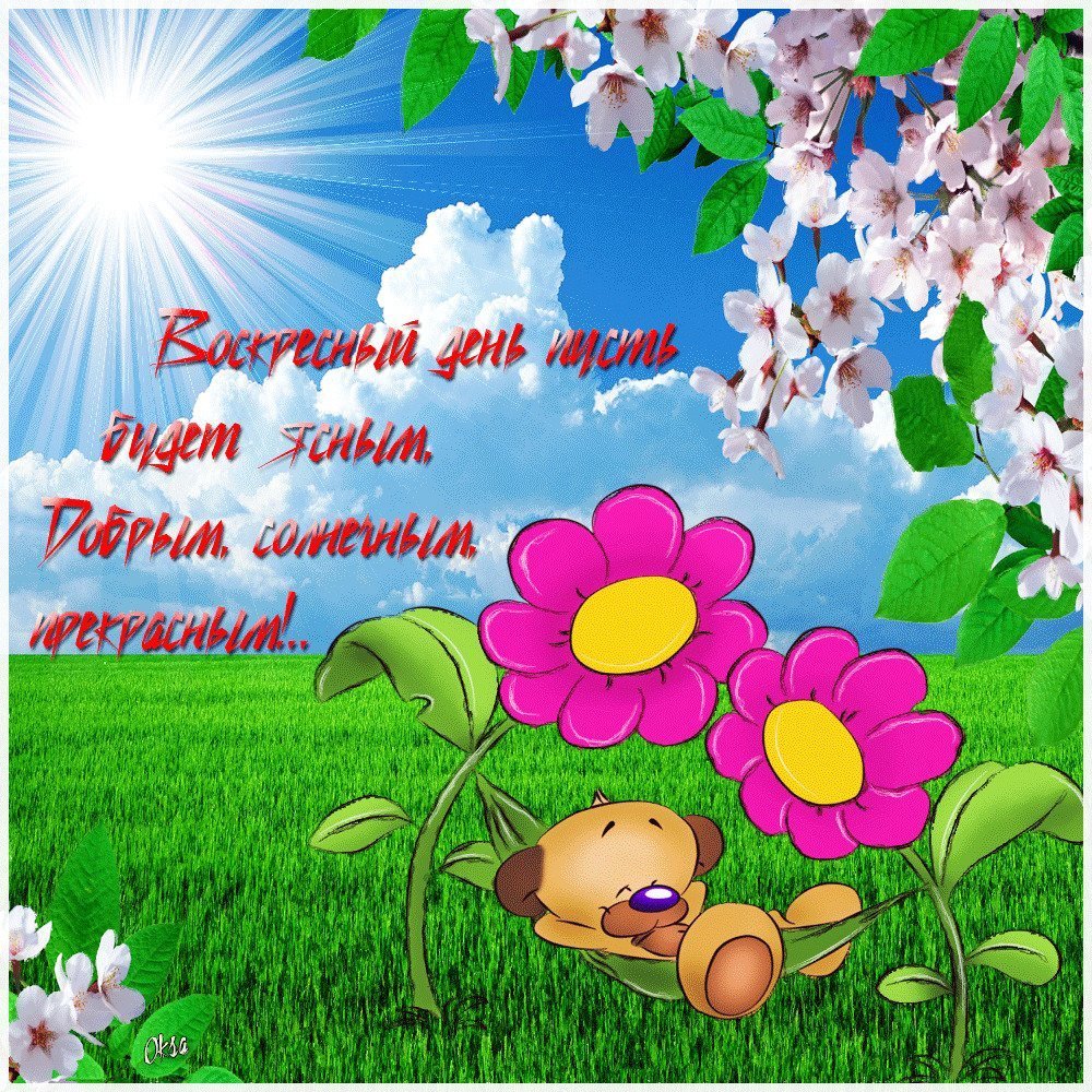 Хорошего дня птицы