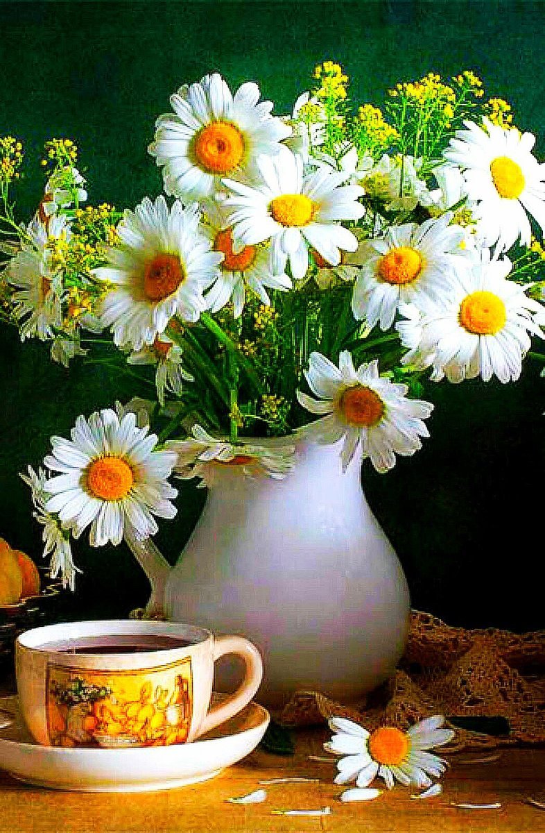 Чудесного настроения на весь день