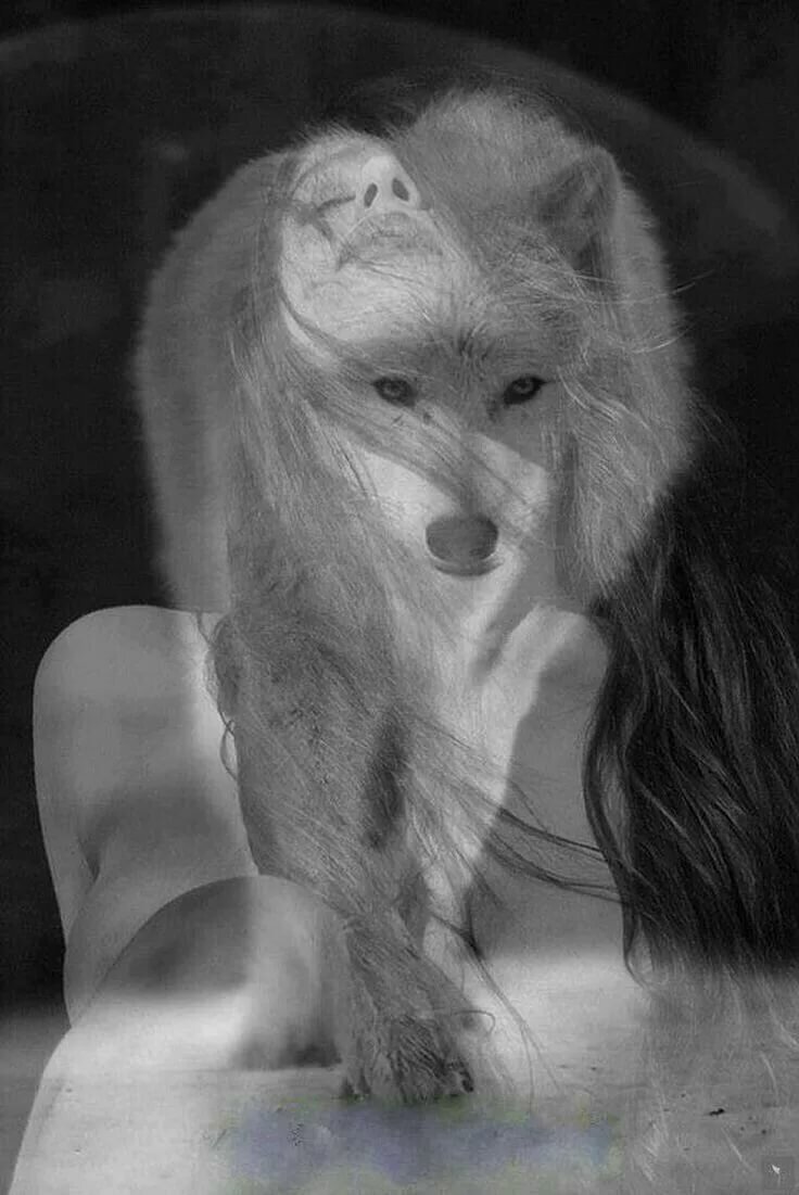 Поздравительные открытки с волками