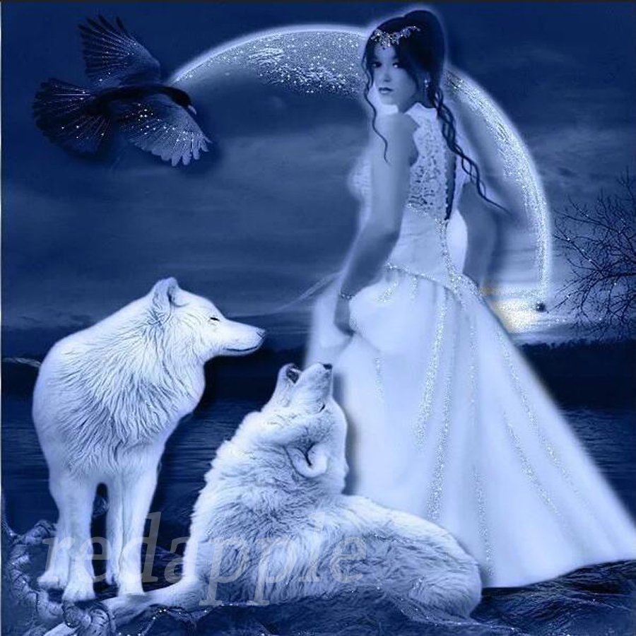 Волчица и девушка