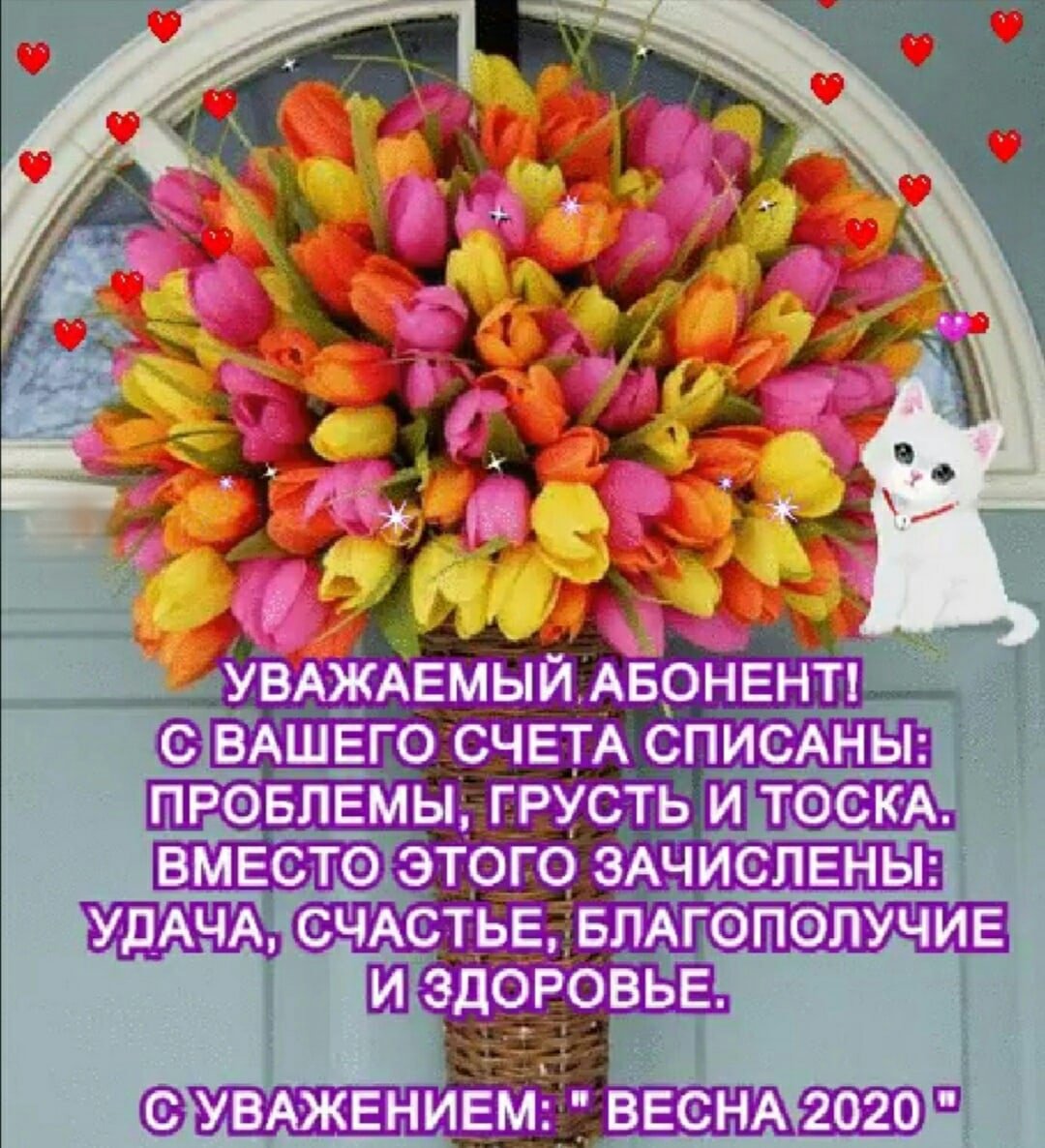 Хорошего четверга и здоровья