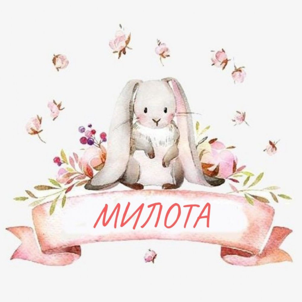 Нежные иллюстрации животных