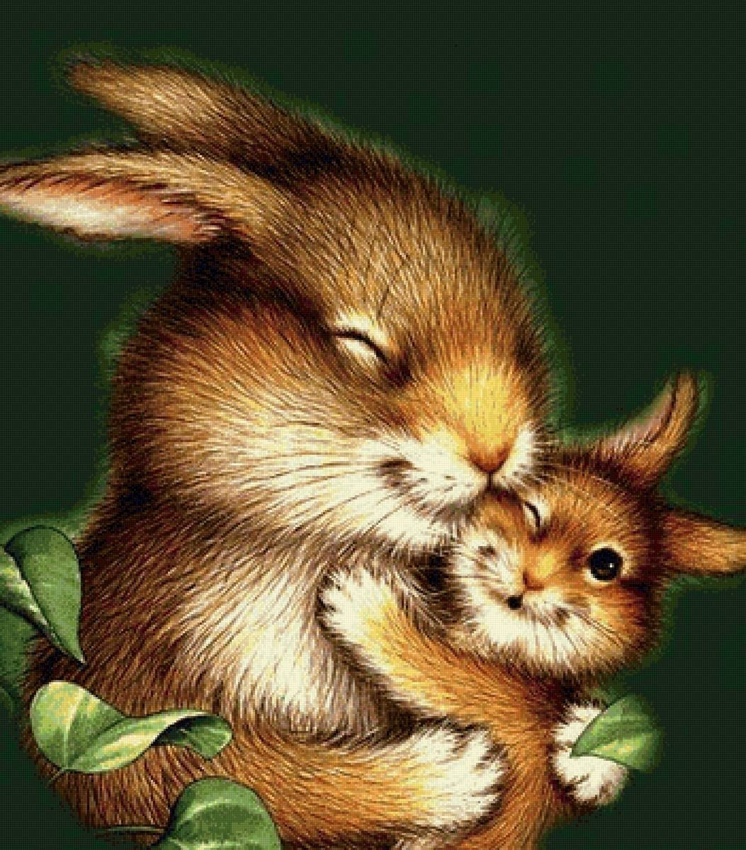 Зайчики обнимаются