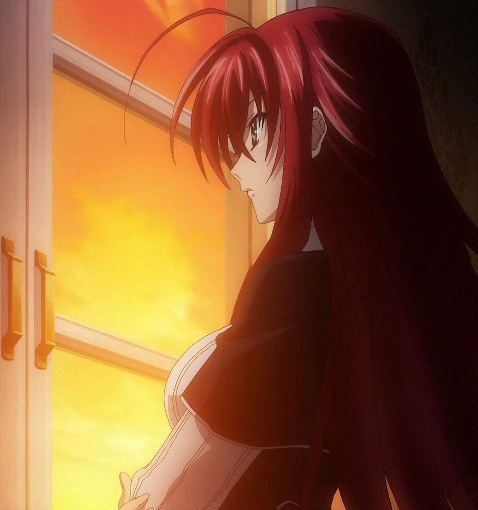 DXD брат Риас