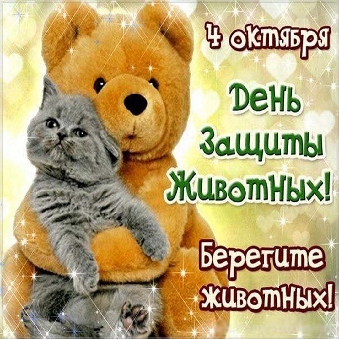 4 Октября день защиты животных фото