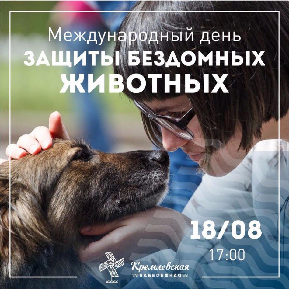 День бездомных животных
