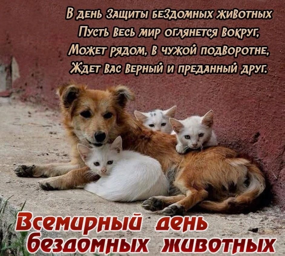 Поздравления с днём животных