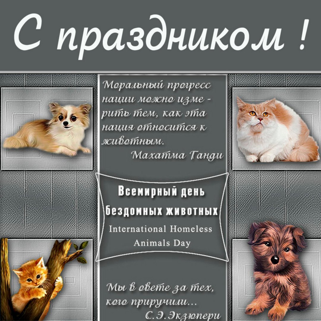 30 Ноября день домашних животных
