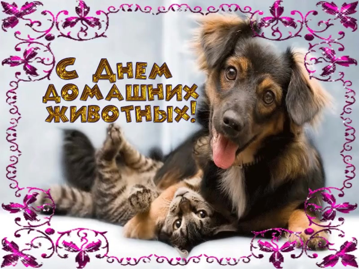 Международный день защиты животных