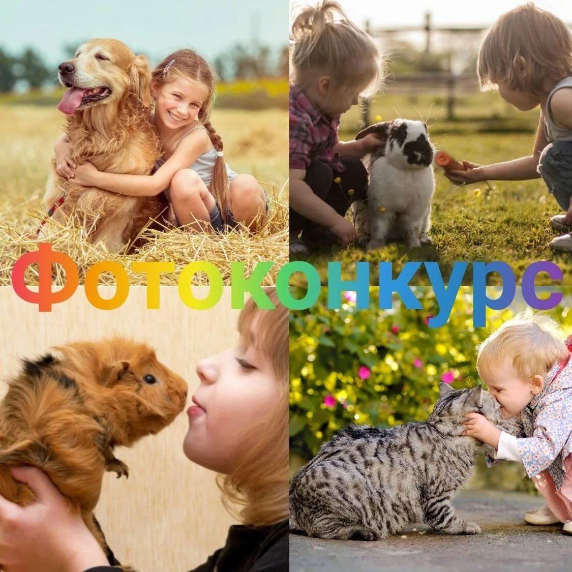 4 Апреля день бездомных животных