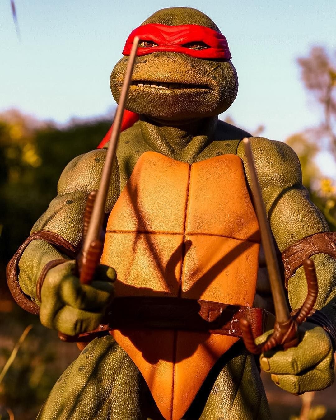 Черепашки ниндзя 2003 Постер