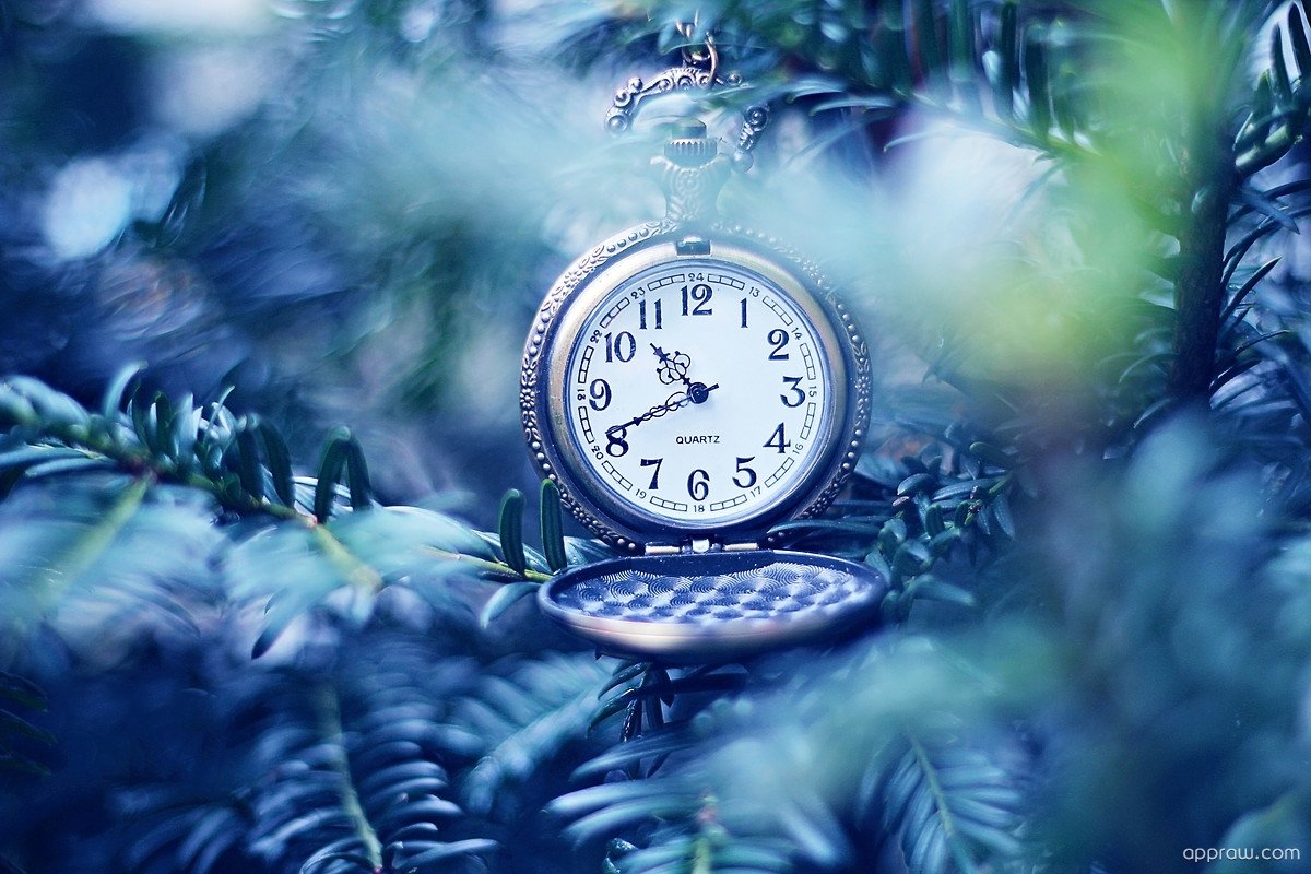 Часы в снегу