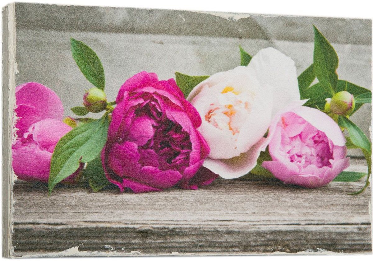 Пионовые розы