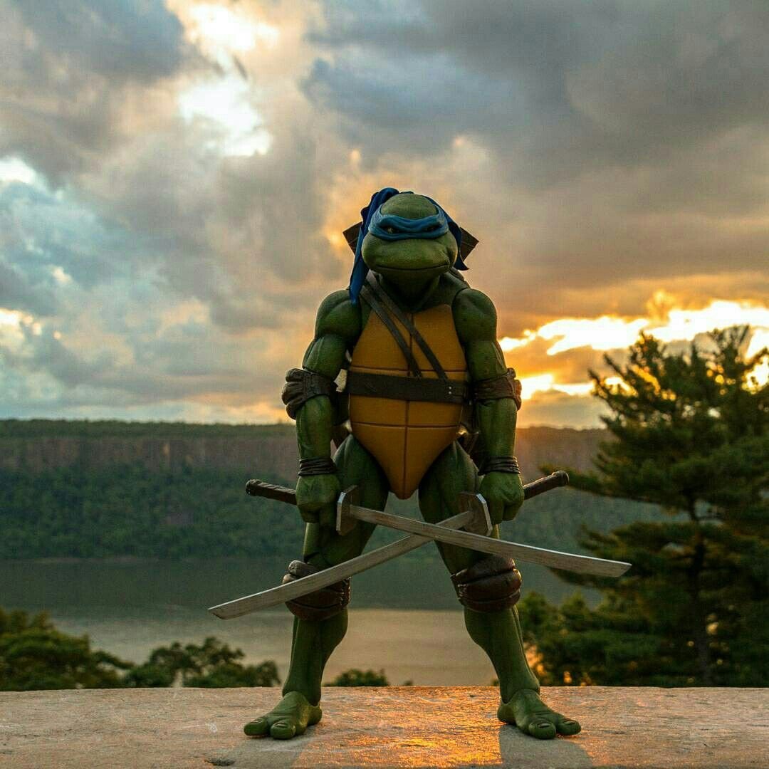 TMNT Рафаэль
