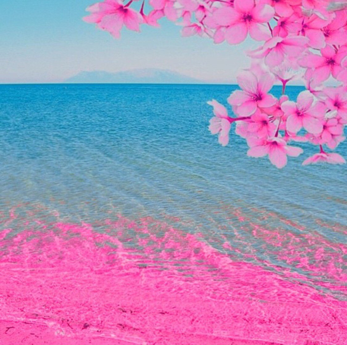 Цветы море солнце