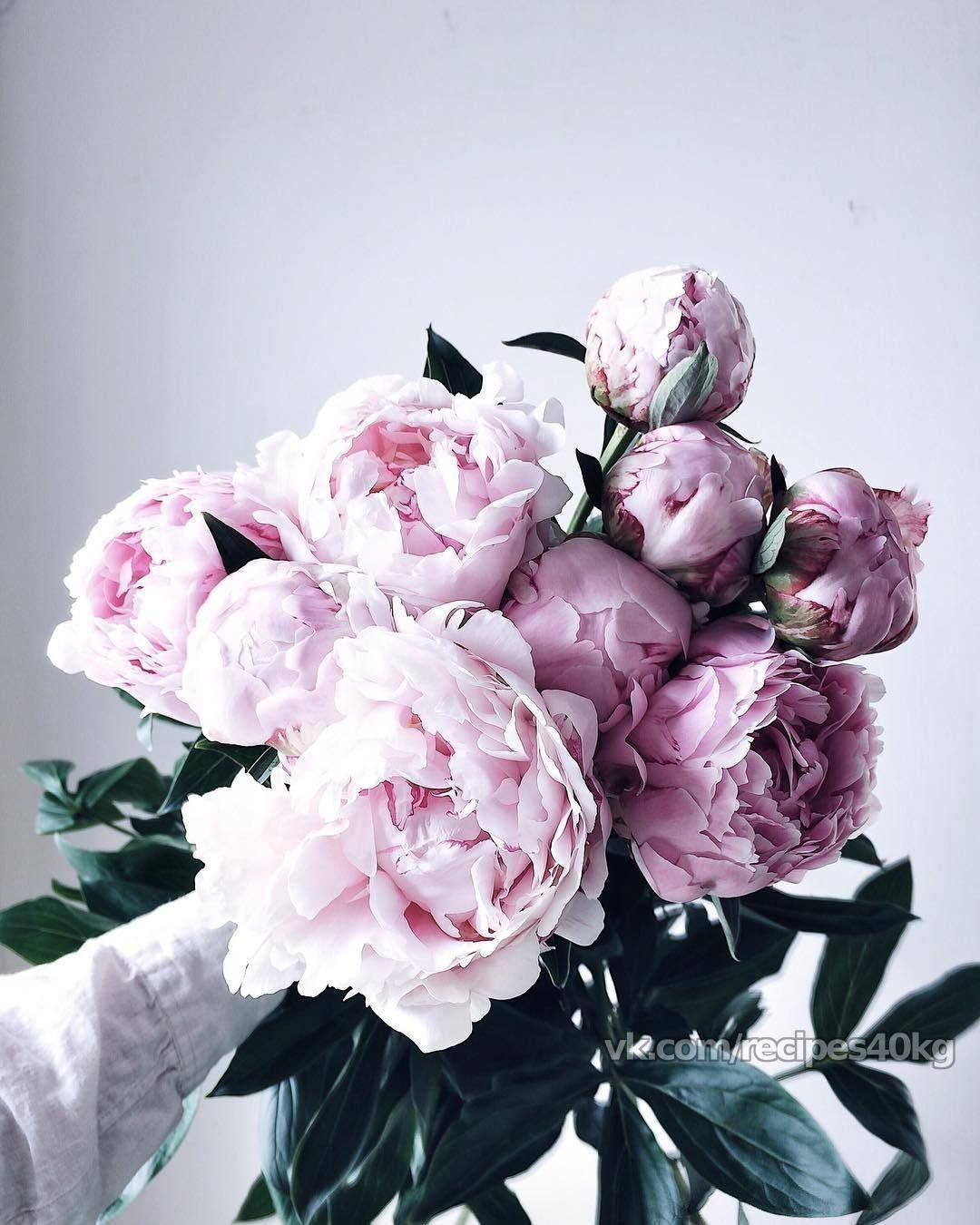 Пион Инновейшен