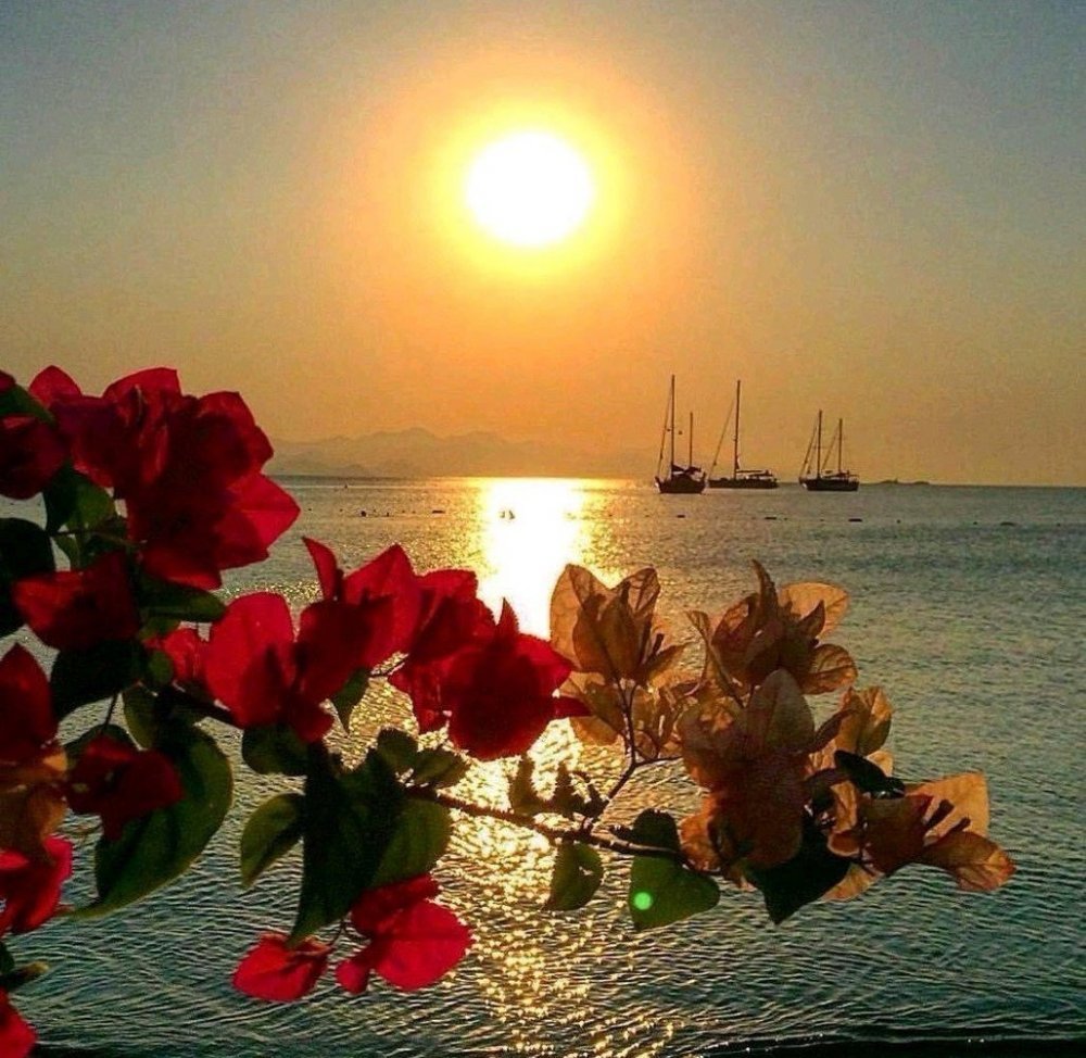 Красивый вид на море