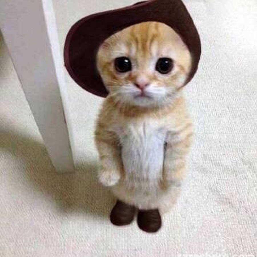 Прикольная картинка защищайся