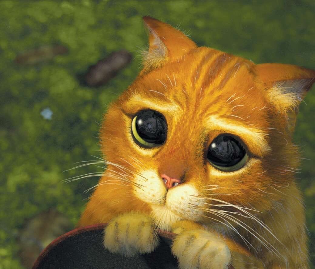 Жалостливые глаза кота из Шрека