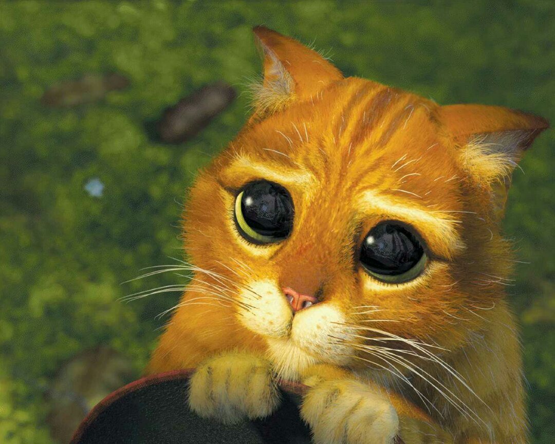 Кот в сапогах Шрек