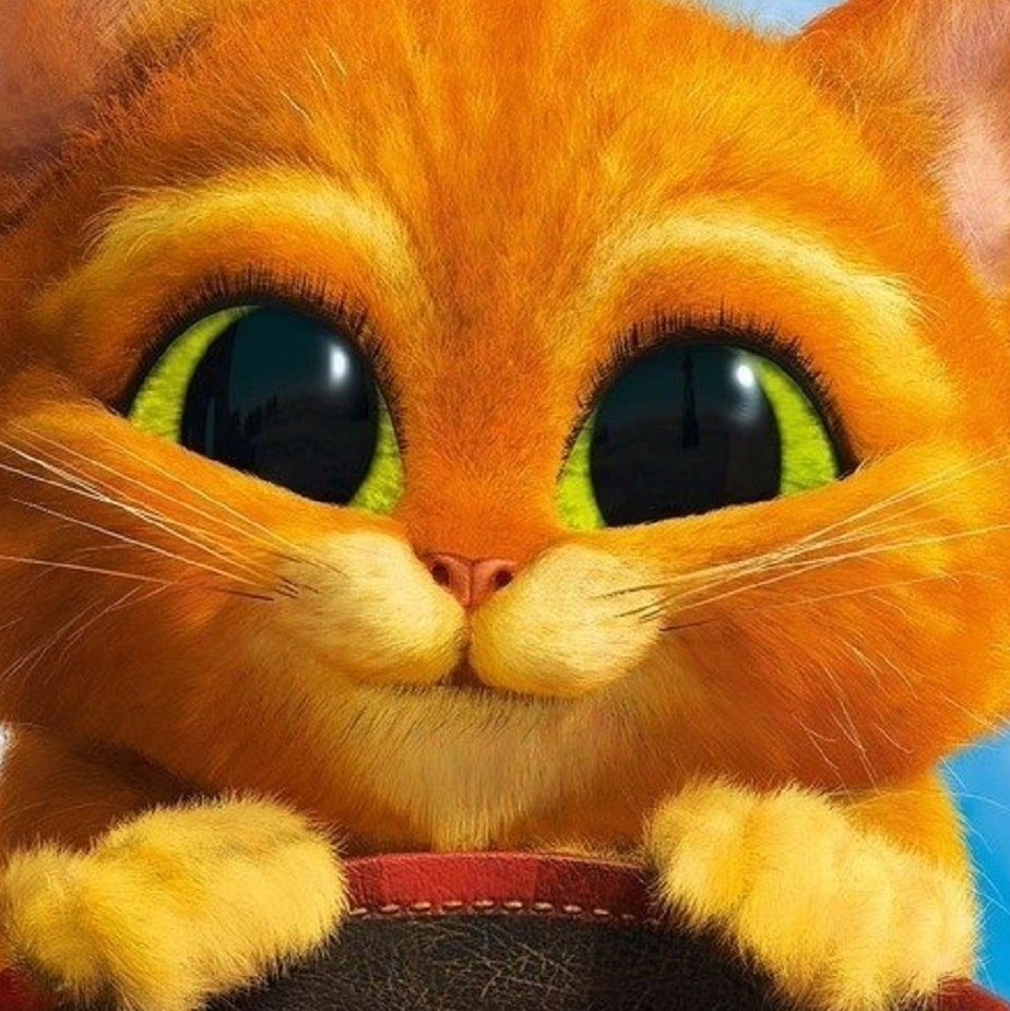 Мультфильм кот в сапогах