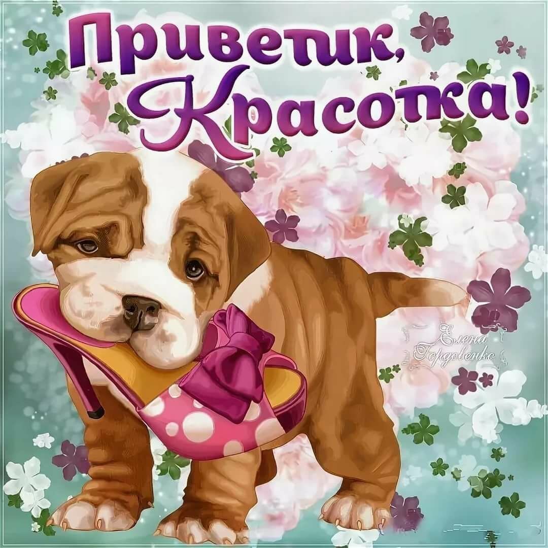 Привет доброе утро