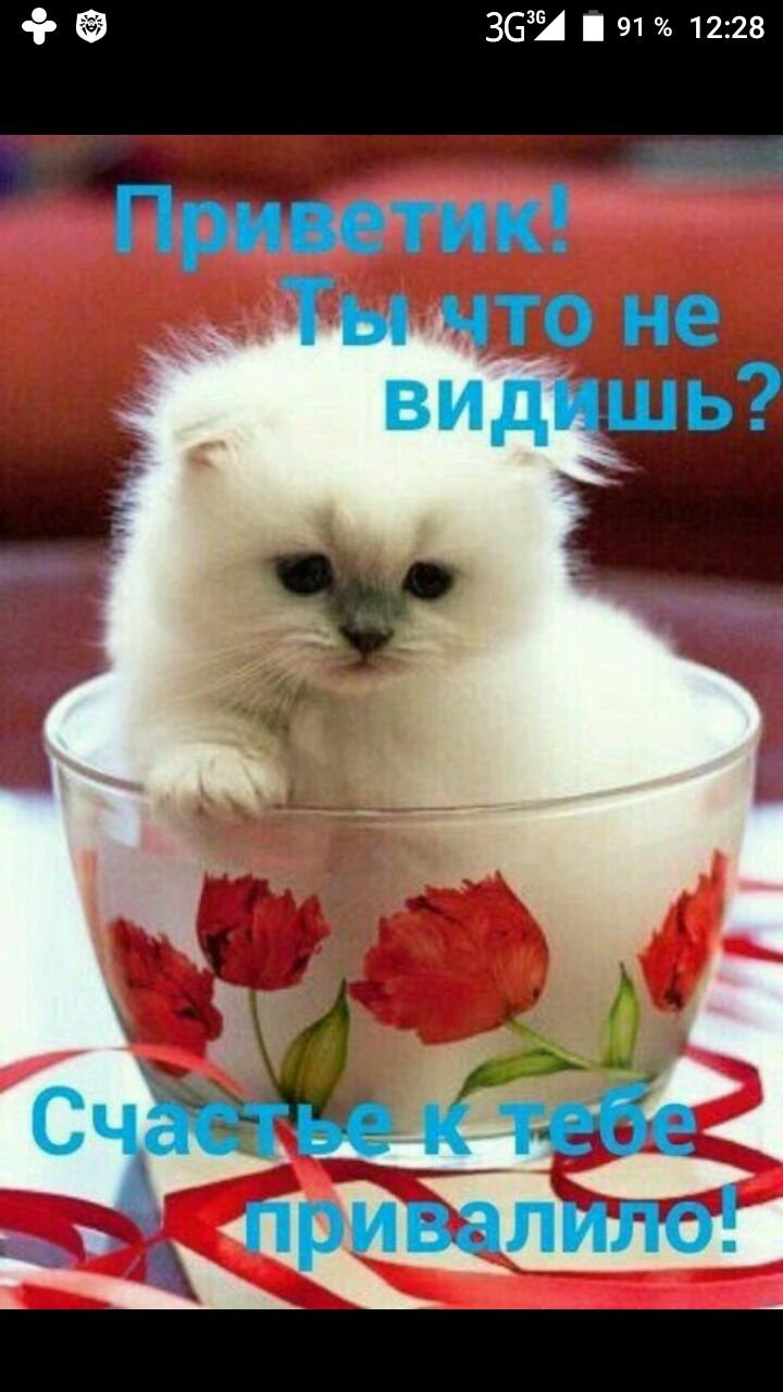 Доброе солнечное утро