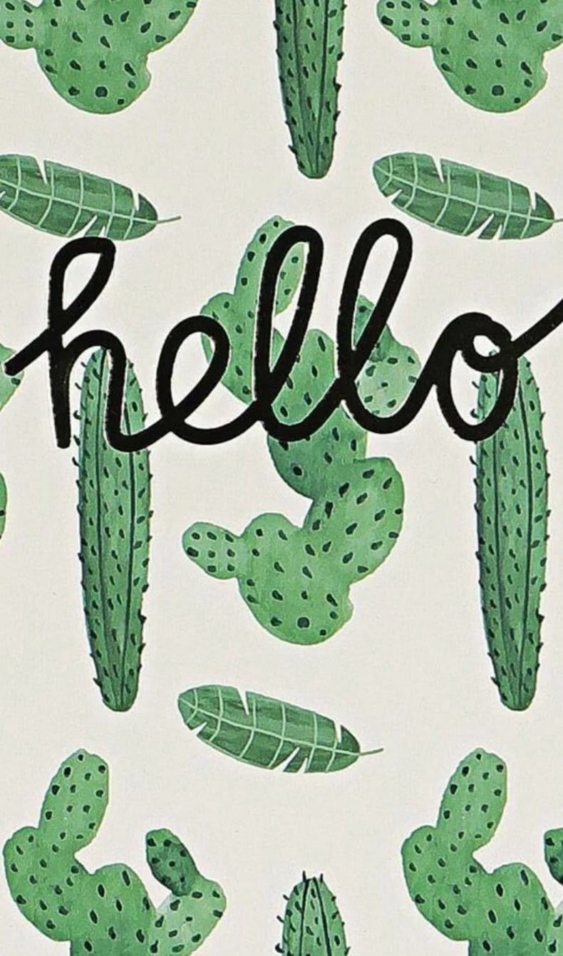 Кактус заставка