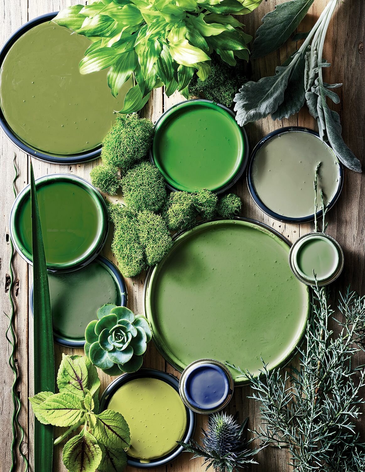 Красивый зеленый