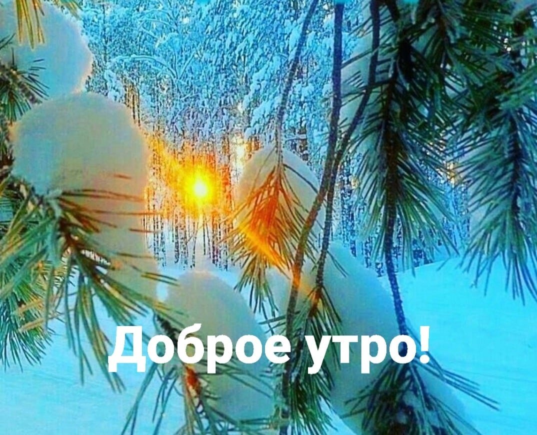 С добрым морозным утром