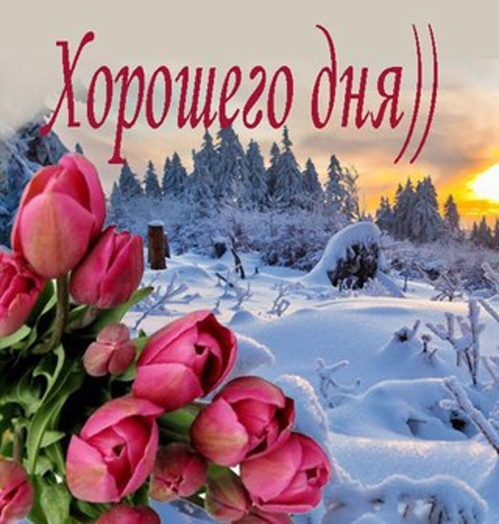 Прекрасного зимнего дня