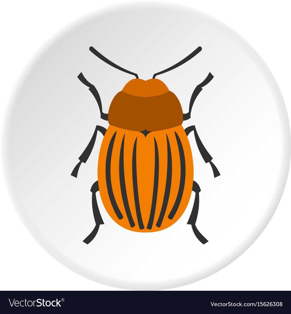 Жучки рисование