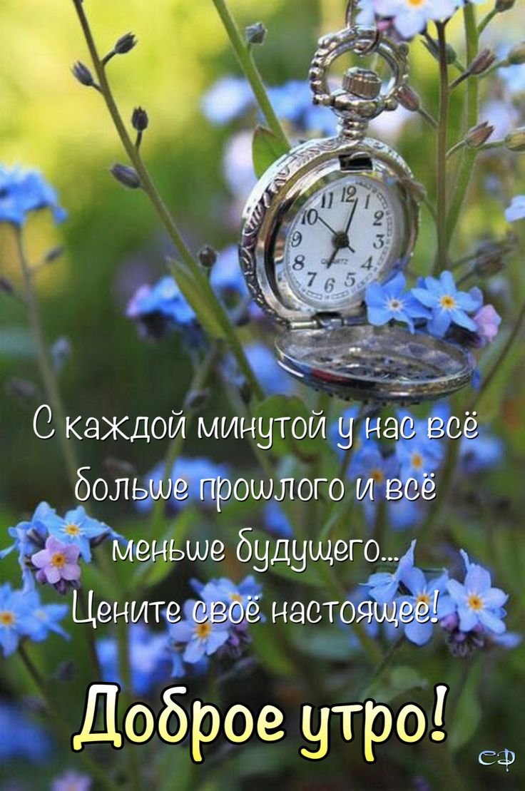 Доброе утро цитаты