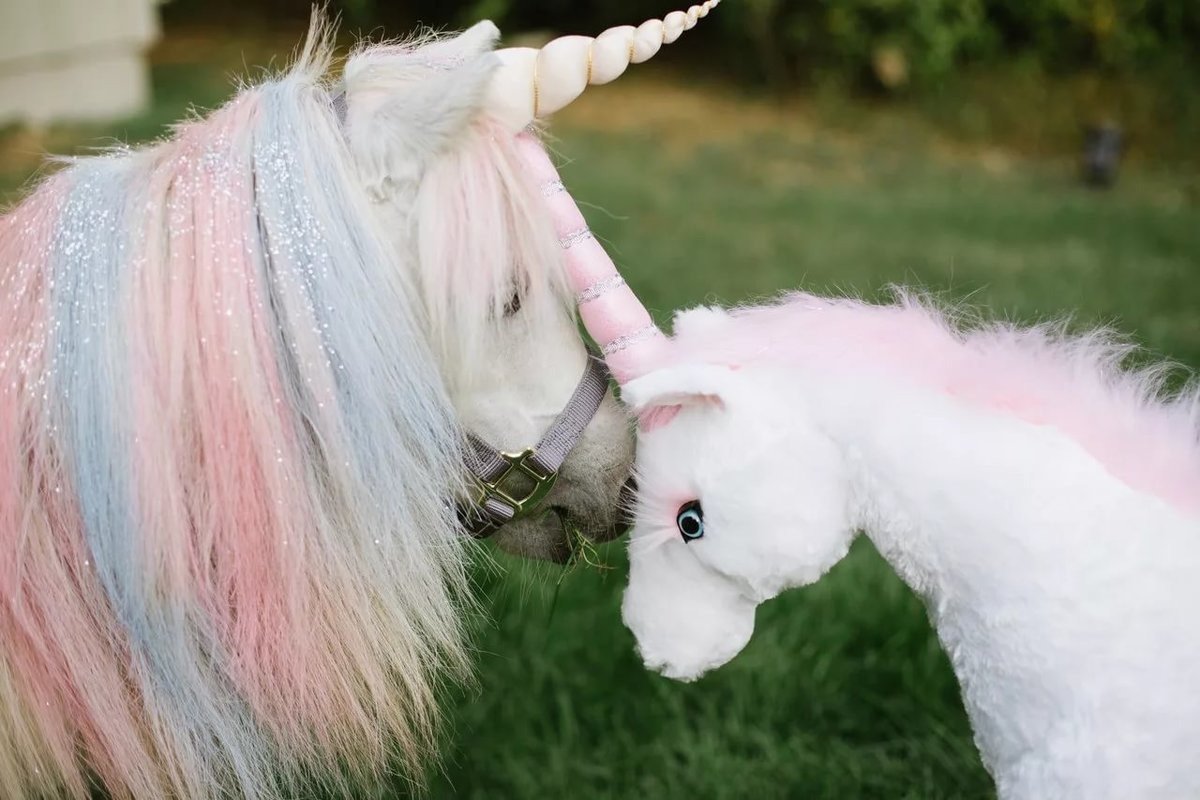 Единорог настоящий