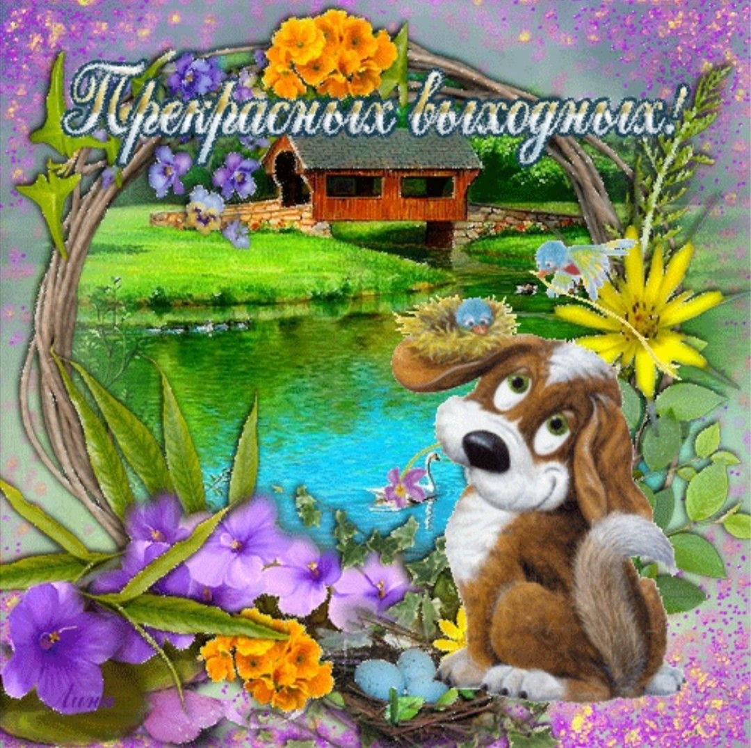 Прикольные поздравления с воскресеньем