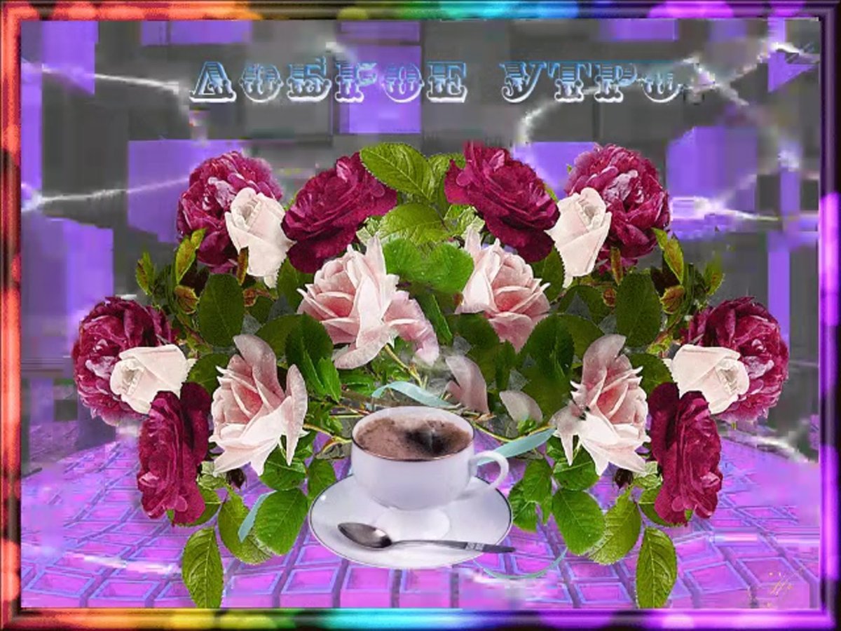 Открытки с добрым утром среды