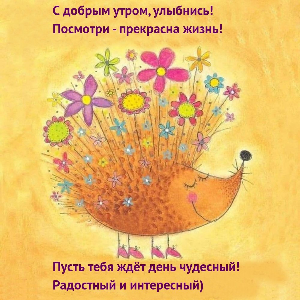 Доброго утра и хорошеготнастроения