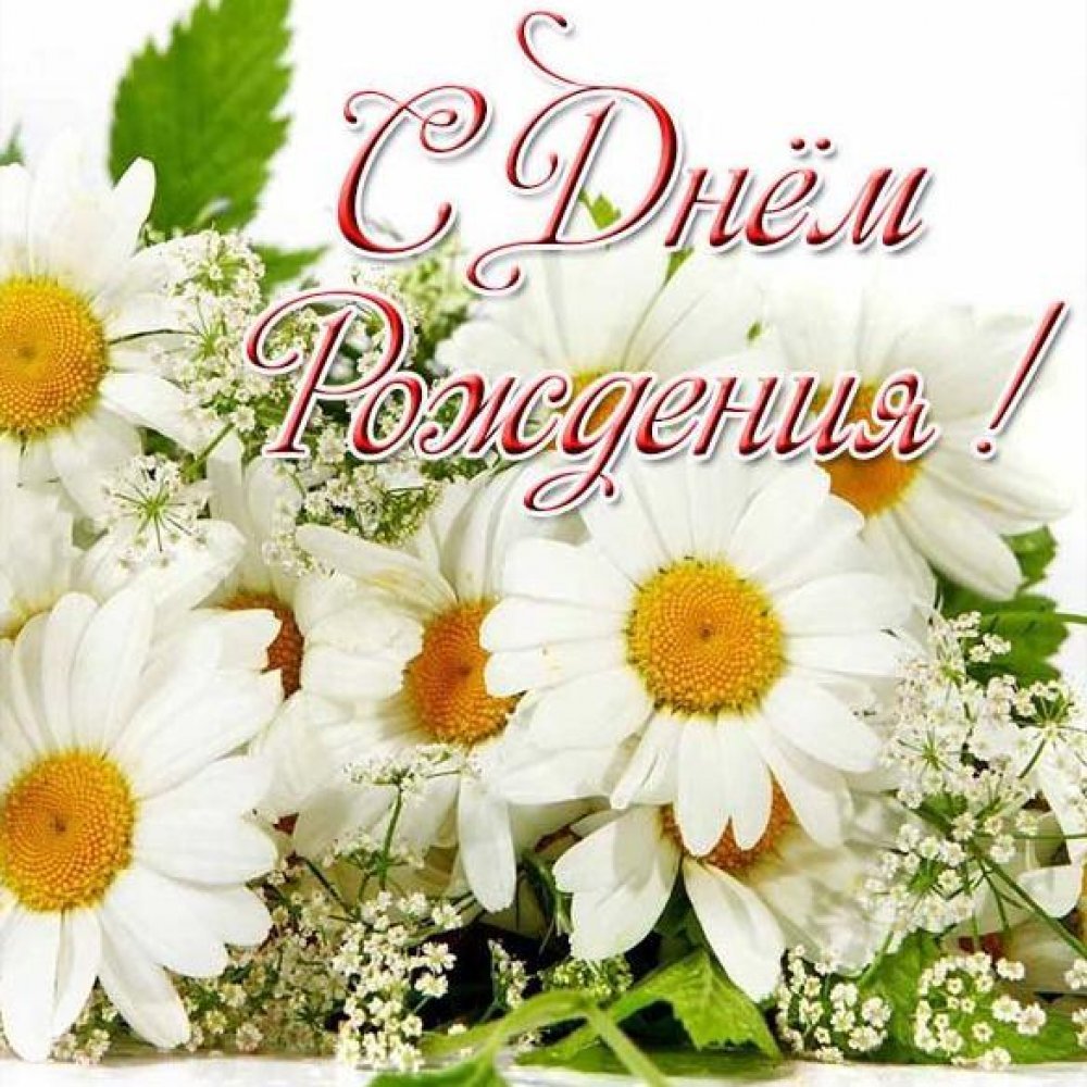 Букет ромашек