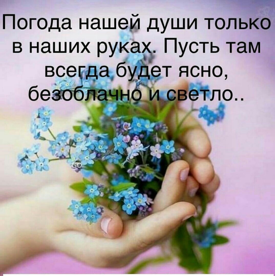 С добрым утром цитаты красивые