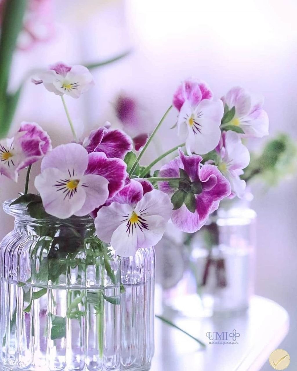 Доброго дня и прекрасного