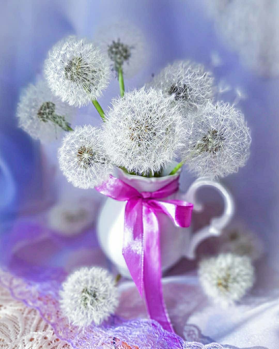 Доброе утро и отличного настроения