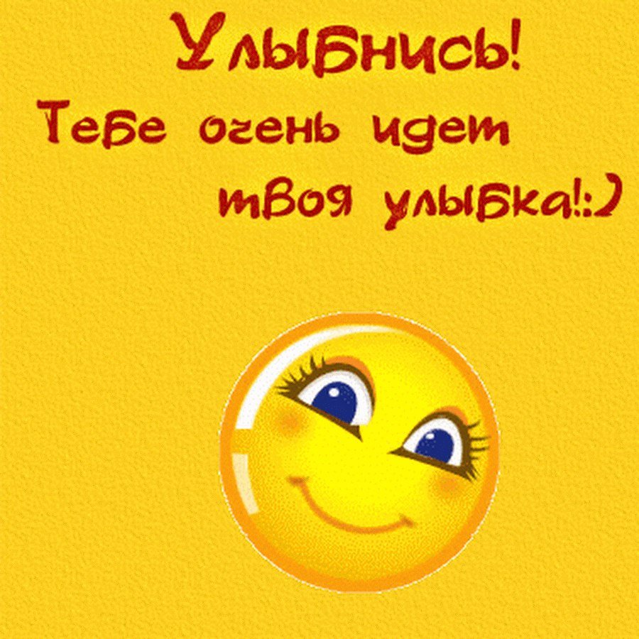 Гулять с собакой смешное