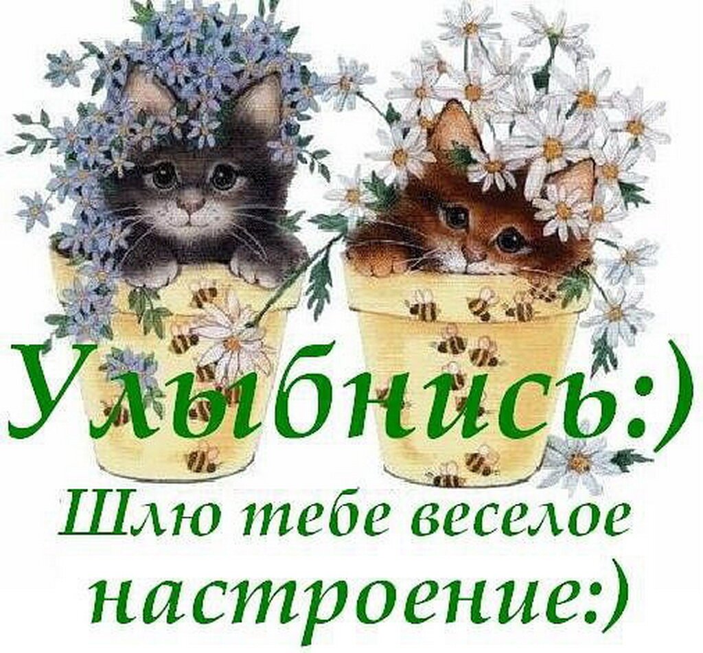 Смешные открытки для поднятия настроения